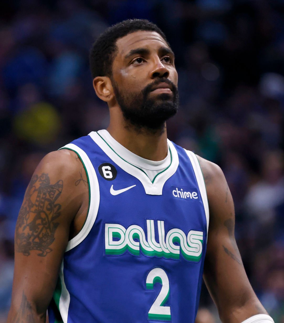 成员国代表 成员国代表