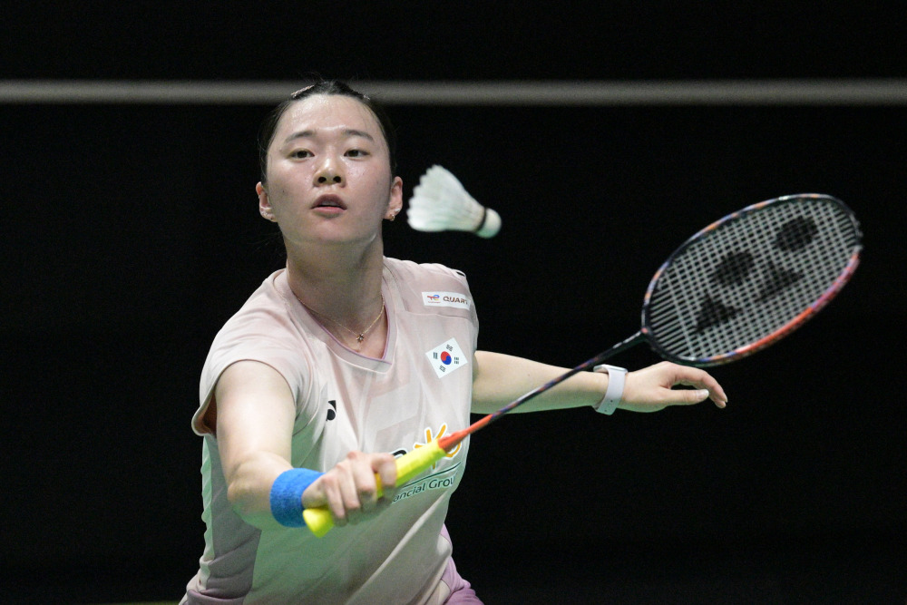 对公牛球迷 对公牛球迷